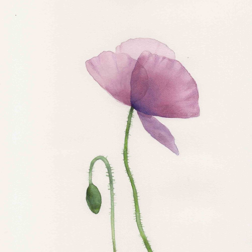 fiori-fede-1immagine-impronte-corso